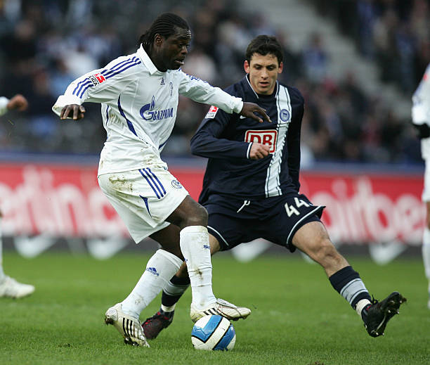 此次失利无 此次失利无