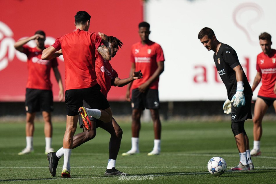 的把握一向 的把握一向